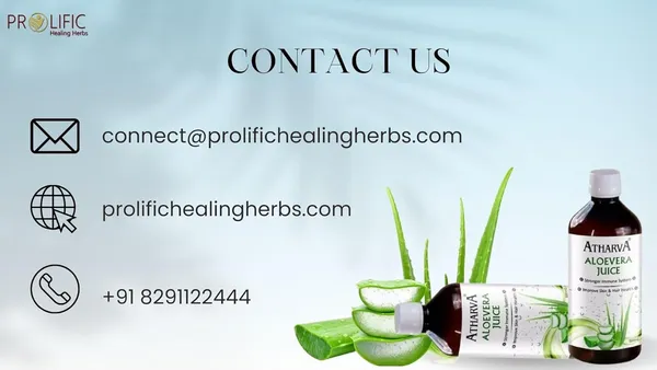 Pack_of_2_Pure_Aloe_Vera_Juice_Improves_Digestion_Improve_Immunity_Activates_Liver_Good_For_Acidity_500_Ml