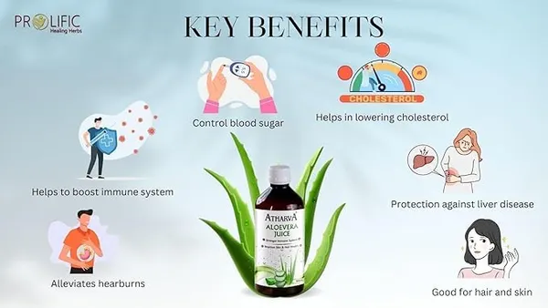 Pure_Aloe_Vera_Juice_Improves_Digestion_Improve_Immunity_Activates_Liver_And_Amla_Juice_I_Natural_Immunity_Booster_I_Vitamin_C_Rich_Health_Supplement_With_Digestive_Benefits_500Ml_Pack_Of_2