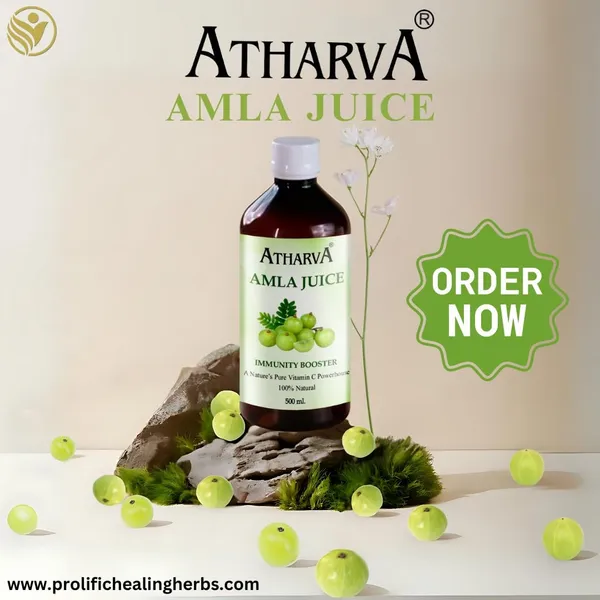 Amla_Juice_I_Natural_Immunity_Booster_I_Vitamin_C_Rich_Health_Supplement_With_Digestive_Benefits_500Ml