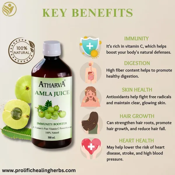 Amla_Juice_I_Natural_Immunity_Booster_I_Vitamin_C_Rich_Health_Supplement_With_Digestive_Benefits_500Ml