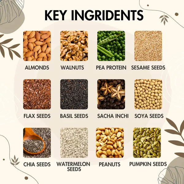 Prasadam_Functional_Food_Plant_Based_Protein_High_In_Protein_80_Gm_200Gm