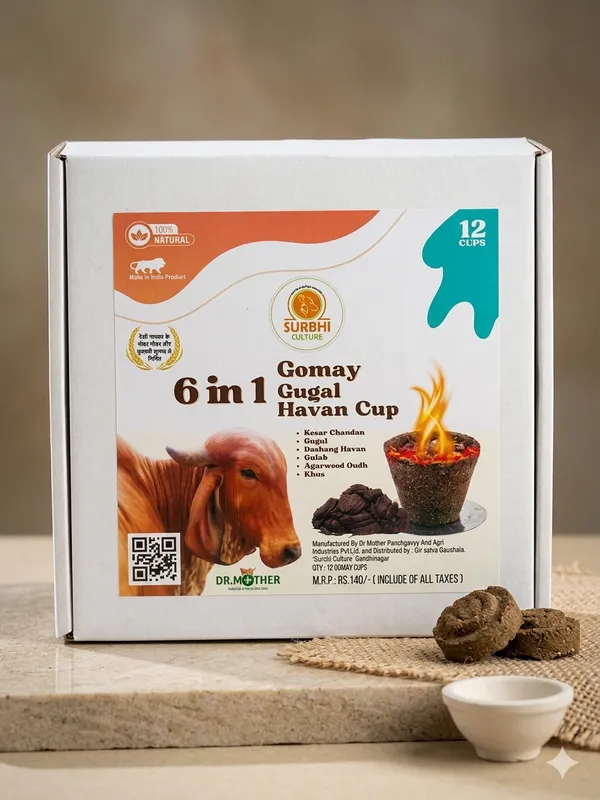Surbhi_Goumaya_Havan_Cup_6_In_1