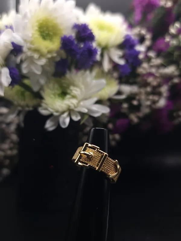 Pack_Of_2_Gold_Spiral_Ring_With_Crystal_Accents_And_Buckle_Rings_Combo_Set