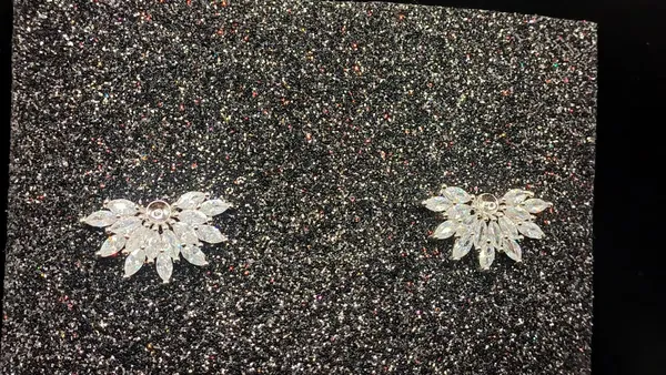 Silver_Stud_Earrings_Combo_Set_Pack_Of_2