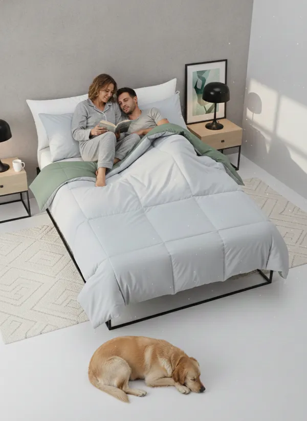 Signature_Reversible_Box-Stitch_singal_Comforter_Premium_Down-Feel_Insert_With_4_Corner_Tabs,_Machine_Washable_(Green_and_Silver)