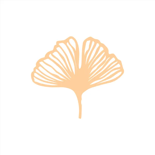 Ginkgo_Leaf_S_Acrylic_Cutout_Set_Of_2_Acar32