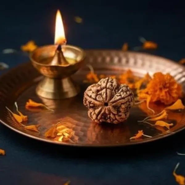 Natural_5_Mukhi_Rudraksha_For_Men_And_Women