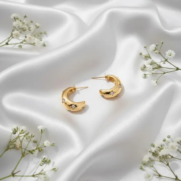 Gold_Alloy_Steel_Premium_Earrings_For_Women