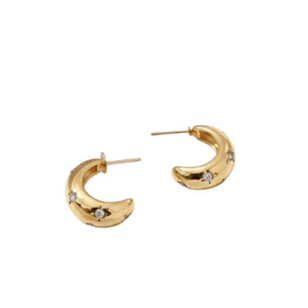 Gold_Alloy_Steel_Premium_Earrings_For_Women