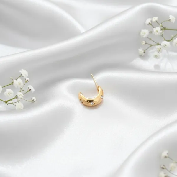 Gold_Alloy_Steel_Premium_Earrings_For_Women