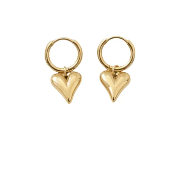 Gold_Alloy_Steel_Premium_Earrings_For_Women