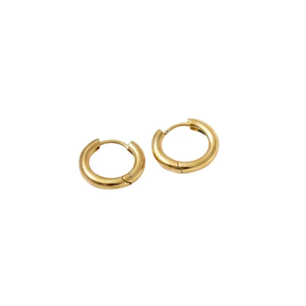 Gold_Alloy_Steel_Premium_Earrings_For_Women