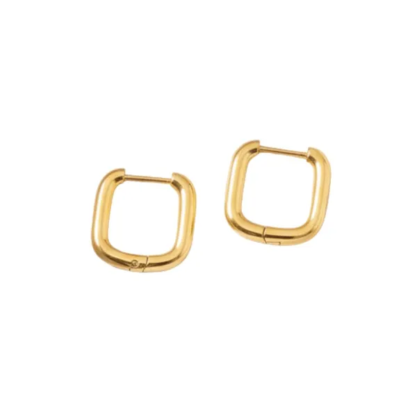 Gold_Alloy_Steel_Premium_Earrings_For_Women