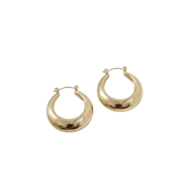Gold_Alloy_Steel_Premium_Earrings_For_Women