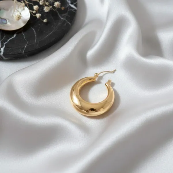 Gold_Alloy_Steel_Premium_Earrings_For_Women
