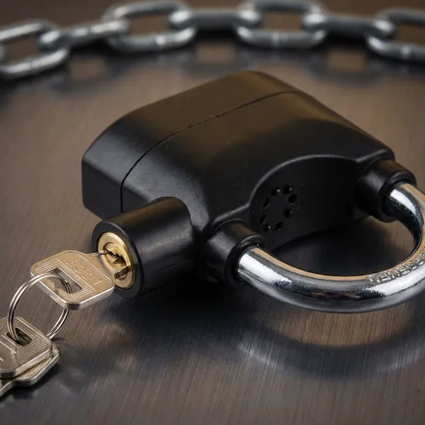 Balck_Metal_And_Plastic_Alarm_Lock_For_Security_And_Safety