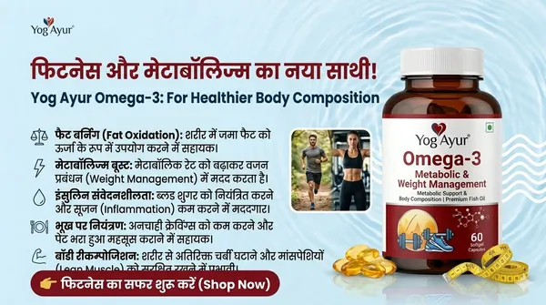 Omega_3_Slim_Support_And_Fitness_Recovery_Capsule_Pack_Of_2