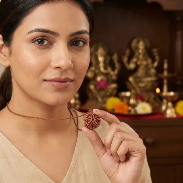 5_Mukhi_Rudraksha_(Certified)