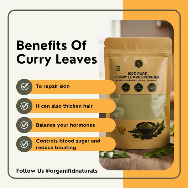 Premium_And_Organic_Curry_Leaves_Powder_0.1_Kg