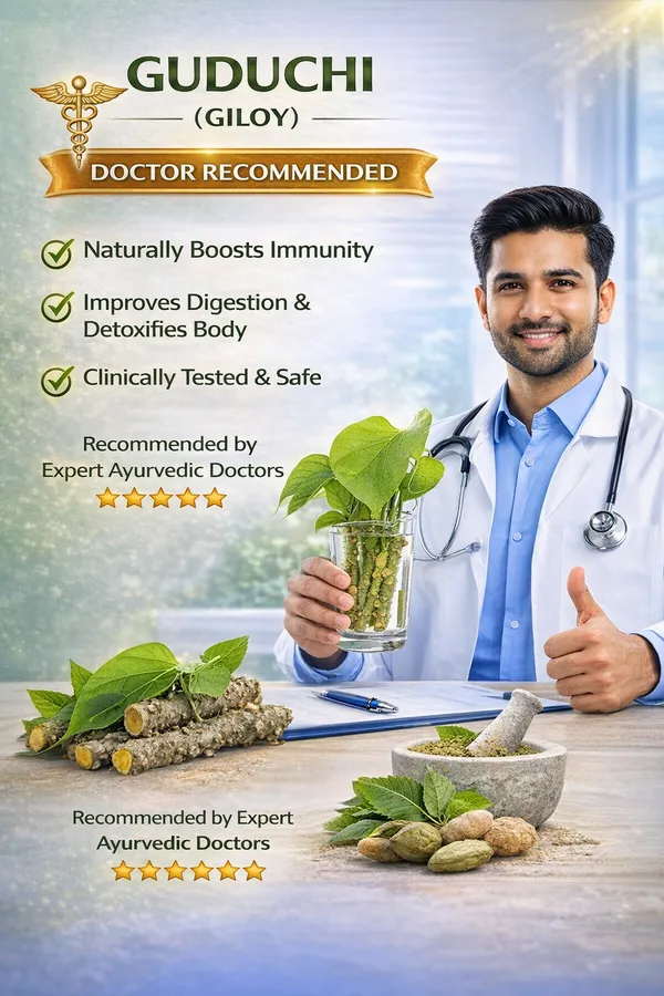 Natural_Giloy_Neem_Fresh_Plant_Stems_Sticks_Bel_9_Inch_Set_Of_12