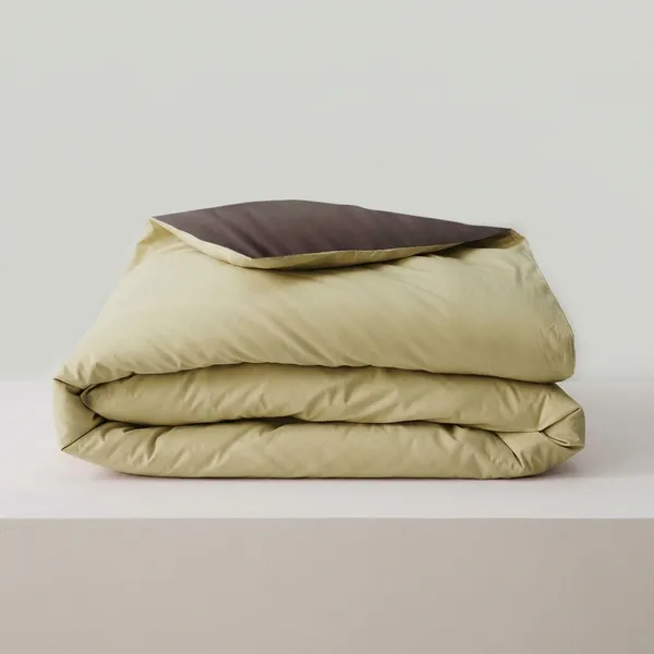 Dark_Cream_Premium_Cotton_King_Size_Comforter