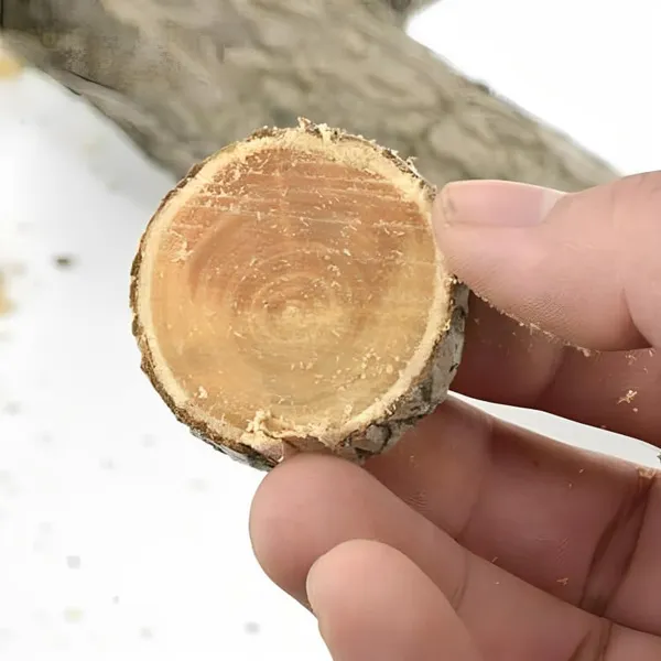 Ziodic_Prune_Saw_Chromium_Steel_Good_Wood_Cutter_For_Wood,_Plasti_Cutter_And_Etc_Toolkit