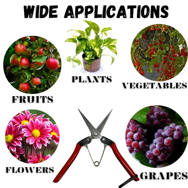 Ziodic_Micro-Tip_Pruning_Shears,_Hand_Pruner_Snips_Florist_Garden_Scissors_With_Silicone_Protective_Sleeve,_Perfect_For_Cutting_Buds,_Flowers,_And_Picking_Fruit,_Trimming_Plants