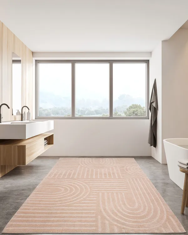 ONYXRUGS_Luxury_Soft_Rug_-_Contemporary_Carpets_for_Living_Room,_Bedroom,_Hall_and_Floor_Area_Rugs,_Pink