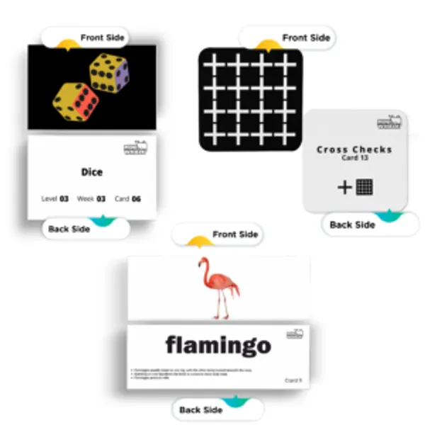 Miniwhale©_Infant_Stimulation_15_Months_Learning_Program_(594_Cards)_-_ASTM,_EN71_&_AUSNZ_Safety_Certified_