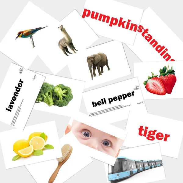 Miniwhale©_Infant_Stimulation_15_Months_Learning_Program_(594_Cards)_-_ASTM,_EN71_&_AUSNZ_Safety_Certified_