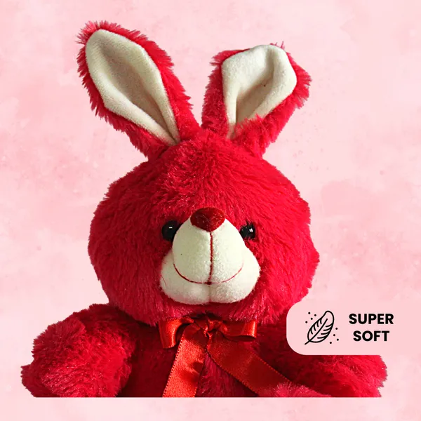 Red_Plastic_And_Electronic_Bunny_Soft_Toy_With_Paws