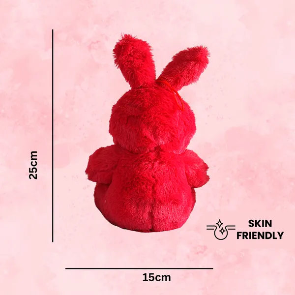 Red_Plastic_And_Electronic_Bunny_Soft_Toy_With_Paws
