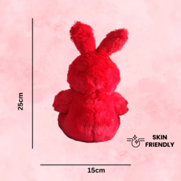 Red_Plastic_And_Electronic_Bunny_Soft_Toy_With_Paws