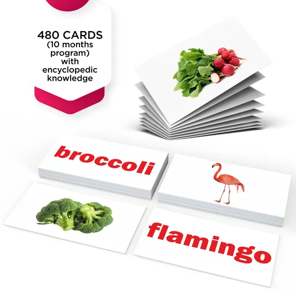 Miniwhale©_Cognitive_Stimulation_300_Days_Learning_Program_(480_Cards)_-_ASTM,_EN71_&_AUSNZ_Safety_Certified