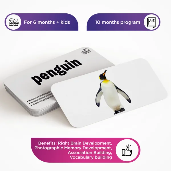Miniwhale©_Cognitive_Stimulation_300_Days_Learning_Program_(480_Cards)_-_ASTM,_EN71_&_AUSNZ_Safety_Certified