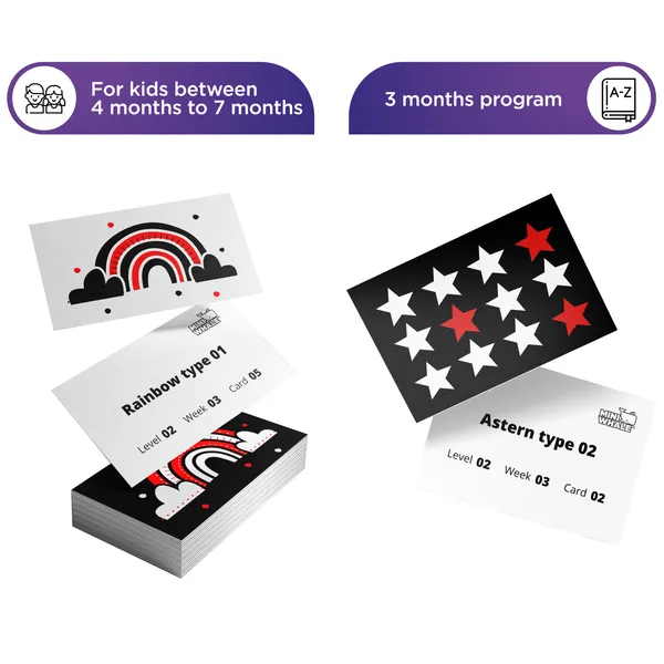 Miniwhale©_Thinking_Stimulation_90_Days_Learning_Program_(Pack_of_96)_-_ASTM,_EN71_&_AUSNZ_Safety_Certified_