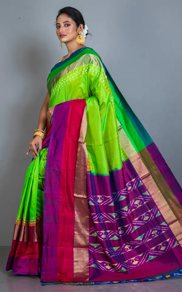Designer_Skirt_Border_Ikkat_Pochampally_Silk_Saree_In_Natural_Green_And_Multicolor