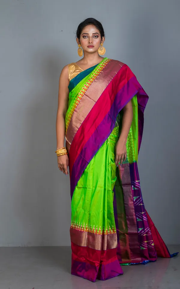 Designer_Skirt_Border_Ikkat_Pochampally_Silk_Saree_In_Natural_Green_And_Multicolor