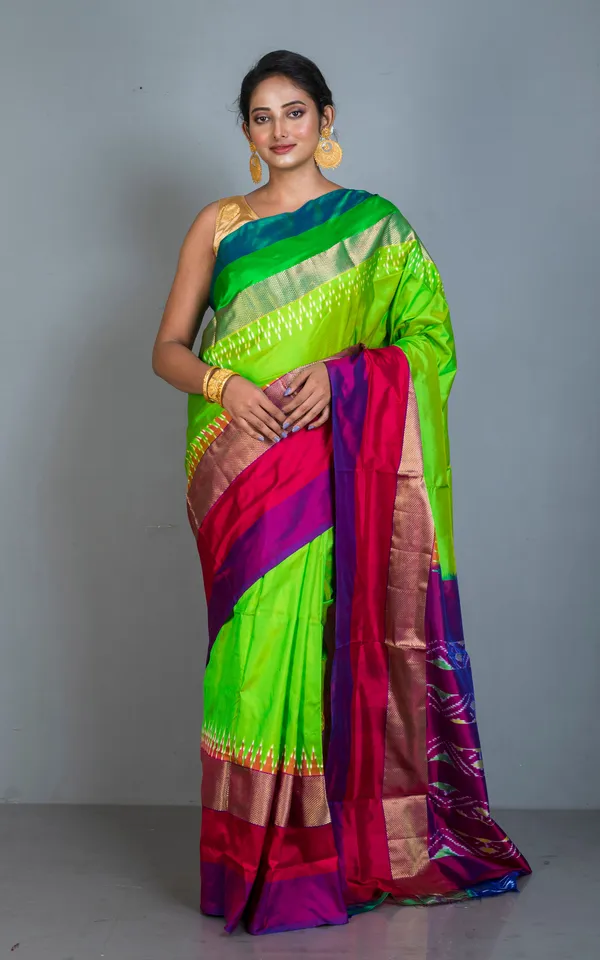 Designer_Skirt_Border_Ikkat_Pochampally_Silk_Saree_In_Natural_Green_And_Multicolor