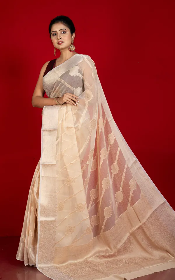 Soft_And_Fine_Crushed_Aara_Nakshi_Work_Semi_Georgette_Banarasi_Saree_In_Vanila_And_Antique_White