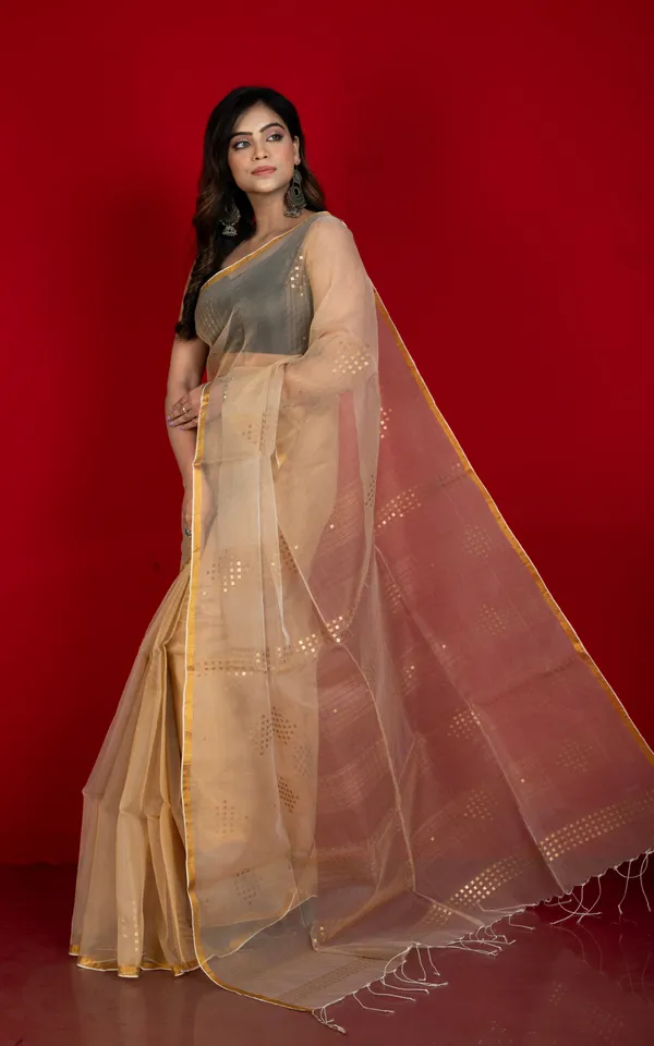 Designer_Sitara_Work_Inch_Border_Resham_Silk_Saree_In_Beige_And_Golden