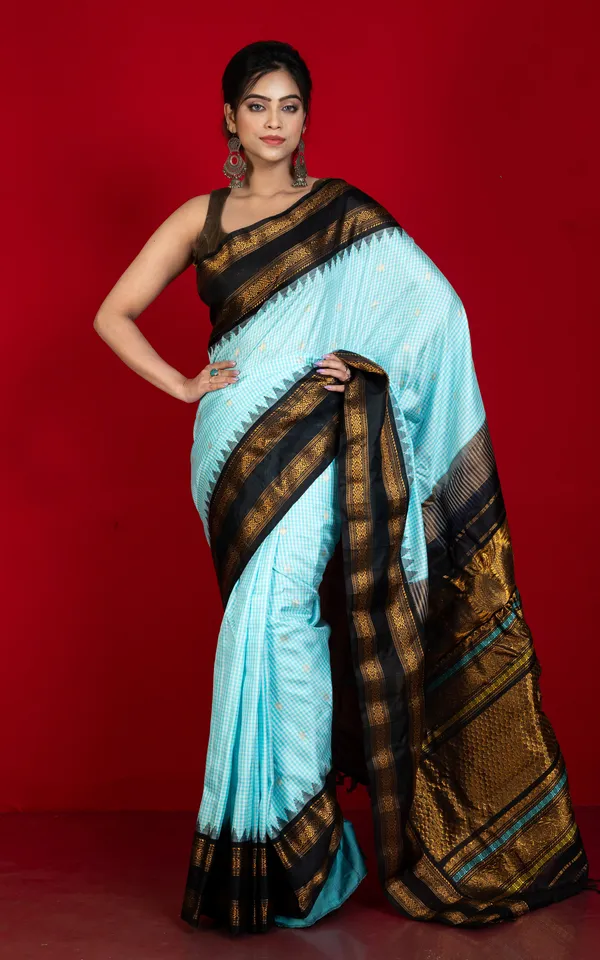 Exclusive_Micro_Checks_Gadwal_Silk_Saree_In_Powder_Blue_Off_White_Black_And_Golden_Zari_Work