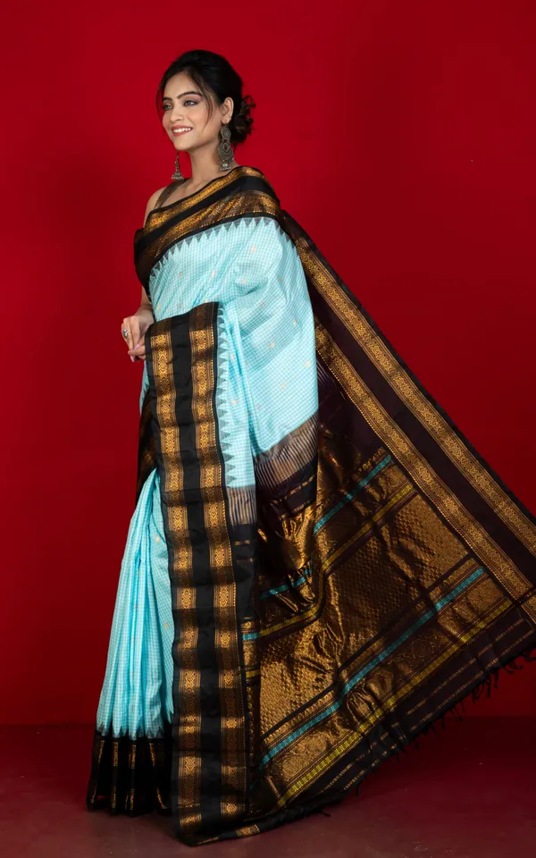 Exclusive_Micro_Checks_Gadwal_Silk_Saree_In_Powder_Blue_Off_White_Black_And_Golden_Zari_Work