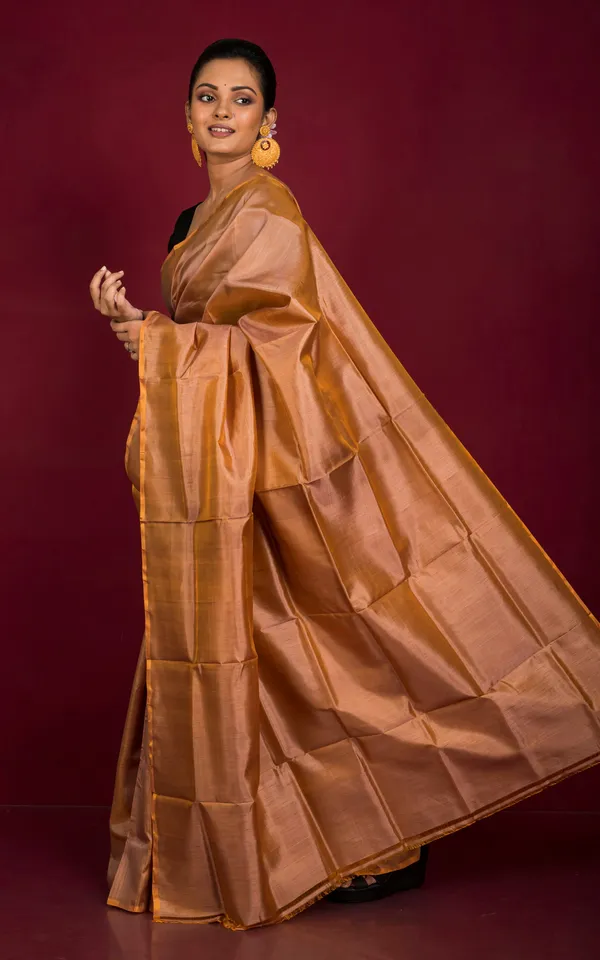 Soft_Woven_Bishnupuri_Katan_Silk_Saree_In_Raw_Sienna