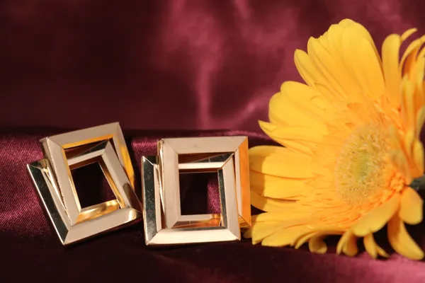 Golden_Alloy_Stud_Earrings_For_Women