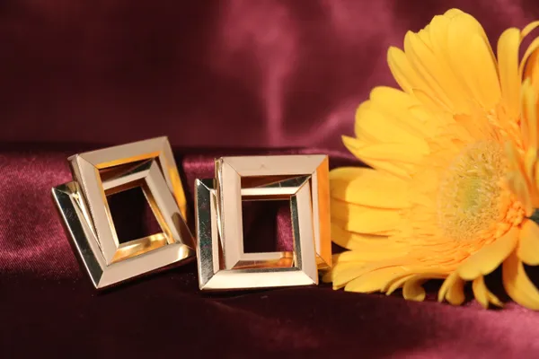 Golden_Alloy_Stud_Earrings_For_Women