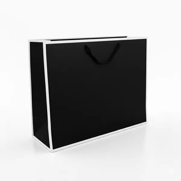 Pack_of_10_Premium_Black_Paper_Gift_Bag_with_White_Rope_Handles