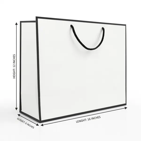 PACK_OF_10_White_Gift_Bag_with_Black_Rope_Handles