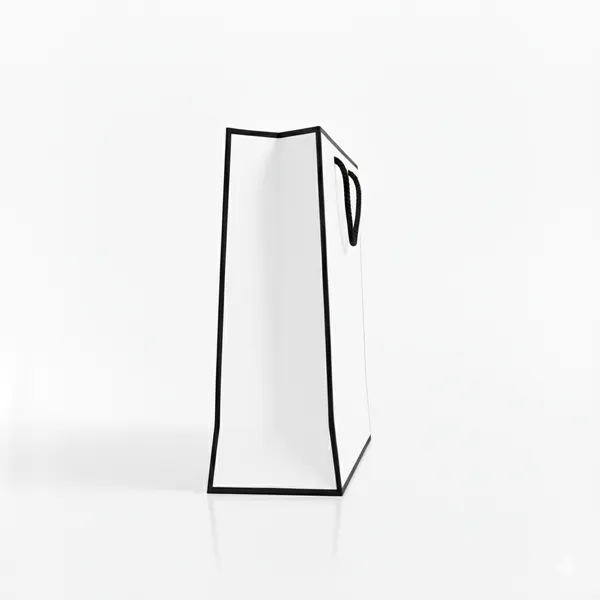 PACK_OF_10_White_Gift_Bag_with_Black_Rope_Handles