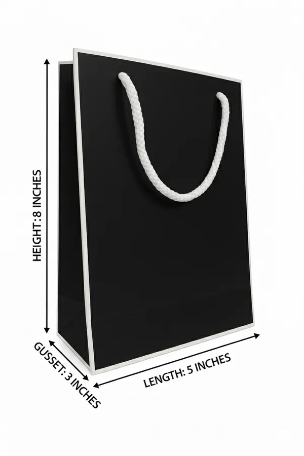 PACK_OF_10_Premium_Black_Paper_Gift_Bag_with_White_Rope_Handles